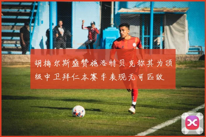 胡梅尔斯盛赞施洛特贝克称其为顶级中卫拜仁本赛季表现无可匹敌