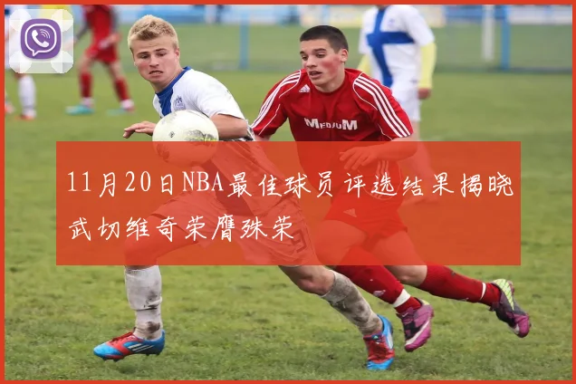 11月20日NBA最佳球员评选结果揭晓武切维奇荣膺殊荣