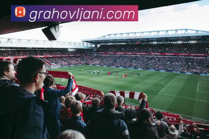 ob.com平台生态图