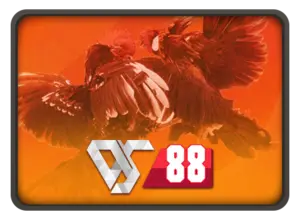DS88